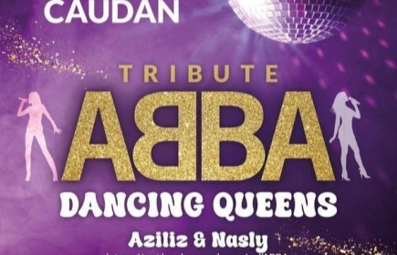 ABBA Dancing Queens